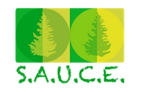 SAUCE Logo